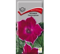 Ипомея Агрохолдинг ПОИСК Пикоти красная 0.3 гр 260469