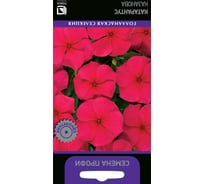 Катарантус Агрохолдинг ПОИСК Казанова 10 шт 713838