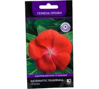 Катарантус Агрохолдинг ПОИСК Пацифика Оранж 10 шт 827284