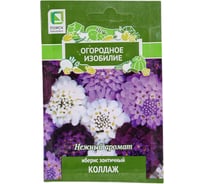 Иберис зонтичный Агрохолдинг ПОИСК Коллаж 0.5 гр ОИ 715091