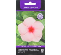 Катарантус Агрохолдинг ПОИСК Пацифика Эприкот 10 шт 832267