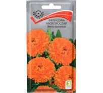 Календула низкорослая Агрохолдинг ПОИСК Фиеста оранжевая 0.3 гр 730901
