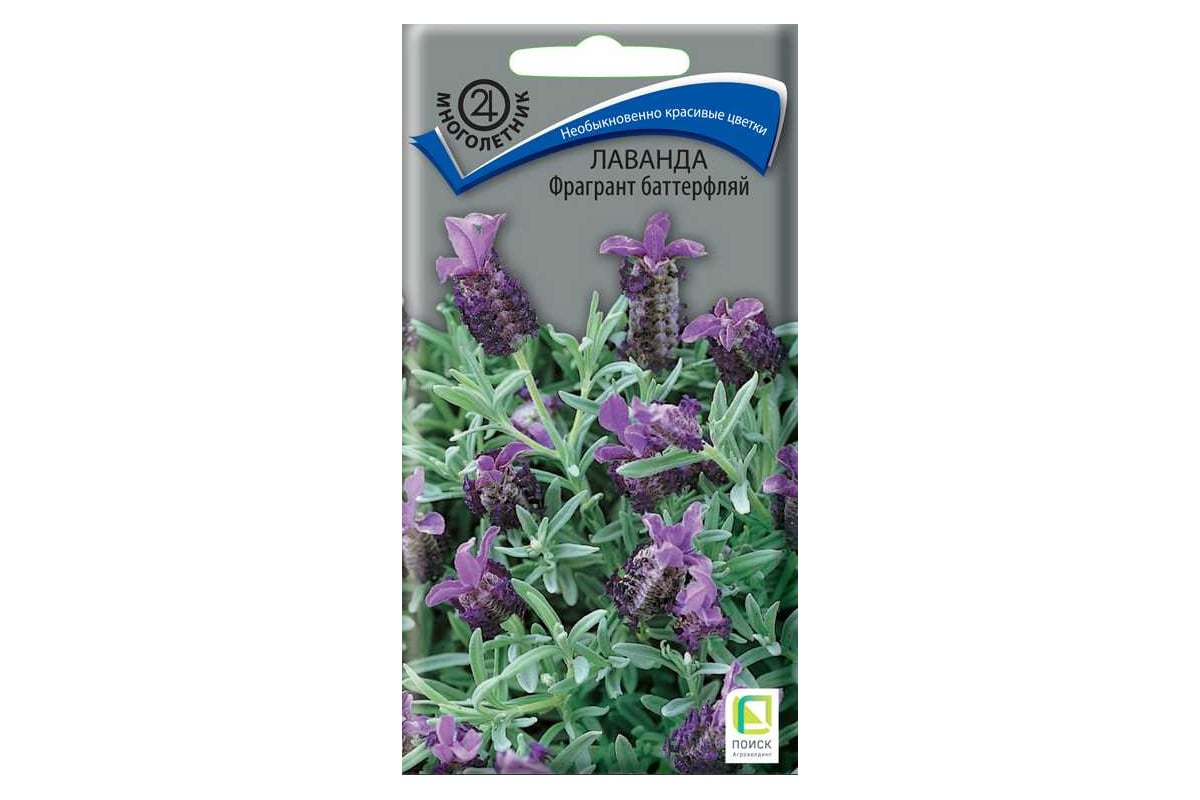 Лаванда Агрохолдинг ПОИСК Фрагрант баттерфляй 20 шт 310510 - выгодная ...