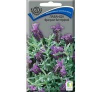 Лаванда Агрохолдинг ПОИСК Фрагрант баттерфляй 20 шт 310510