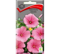 Лаватера Агрохолдинг ПОИСК Лавлайнс 0.3 гр 310536