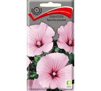 Лаватера Агрохолдинг ПОИСК Красотка розовая 0.3 гр 310530