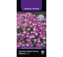 Лобелия прямостоячая Агрохолдинг ПОИСК Ривьера Роуз 10 шт 825435