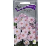 Маргаритка Агрохолдинг ПОИСК Зефир 0.05 гр 797317