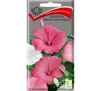 Лаватера Агрохолдинг ПОИСК Красотка смесь окрасок 0.3 гр 310533