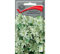 Молочай окаймленный Агрохолдинг ПОИСК 0.2 гр 370141