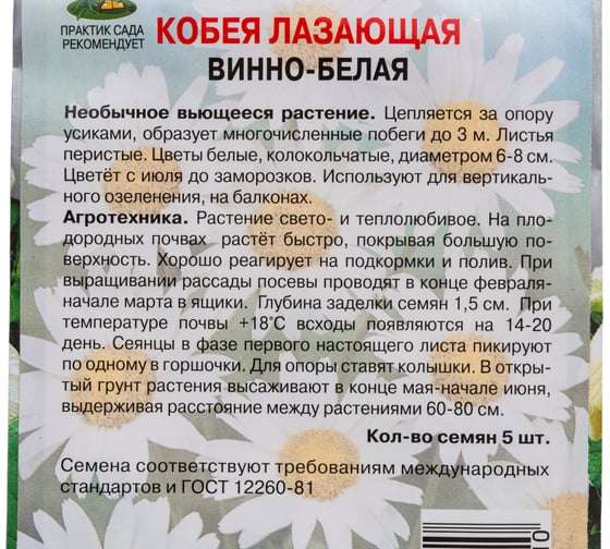 Кобея лазающая Агрохолдинг ПОИСК Винно-белая 5 шт 290835