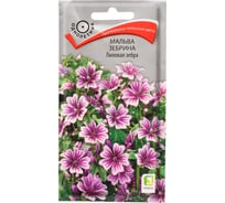 Мальва зебрина Агрохолдинг ПОИСК Лиловая зебра 0.2 гр 360185