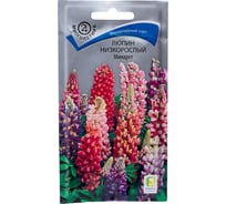 Люпин Агрохолдинг ПОИСК низкорослый Минарет 1 гр 350840