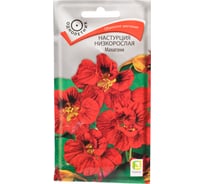 Настурция низкорослая Агрохолдинг ПОИСК Махагони 1 гр 390260