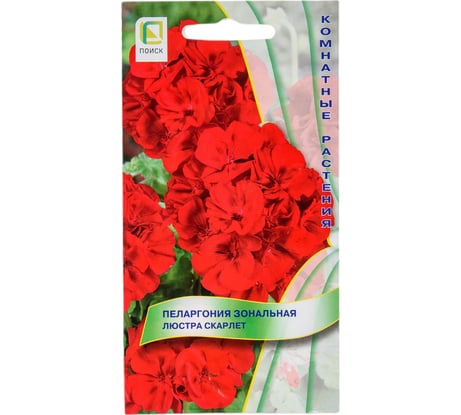 Пеларгония зональная Агрохолдинг ПОИСК Люстра Скарлет 5 шт 410125