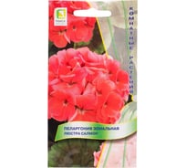 Пеларгония зональная Агрохолдинг ПОИСК Люстра Салмон 5 шт 804412