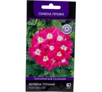 Вербена Агрохолдинг ПОИСК Тускани Роуз виз Ай 10шт 832232