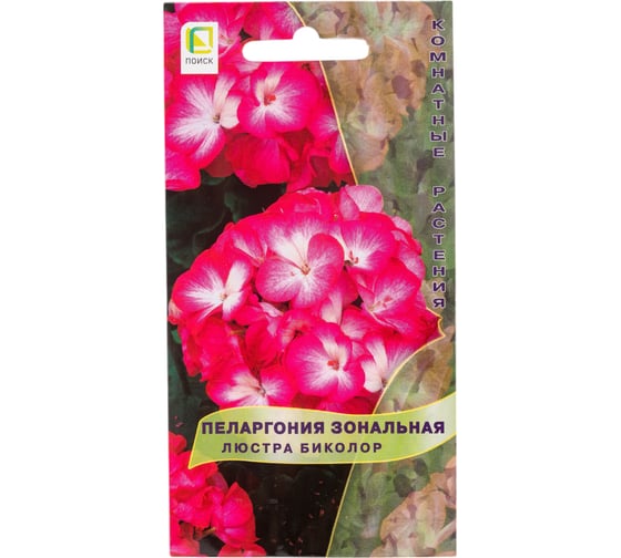 Пеларгония зональная Агрохолдинг ПОИСК Люстра Биколор 5 шт 410116