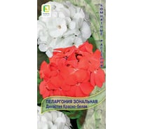 Пеларгония зональная Агрохолдинг ПОИСК Династия Красно-белая 5 шт 730885