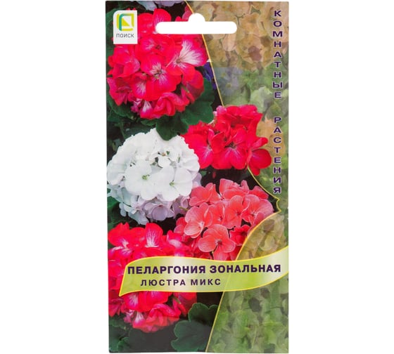 Пеларгония зональная Агрохолдинг ПОИСК Люстра микс 5 шт 410122 1