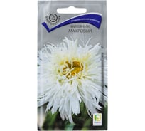 Нивяник махровый Агрохолдинг ПОИСК 0.1 гр 390353