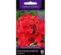 Пеларгония Маверик Агрохолдинг ПОИСК Красная 5 шт 702459