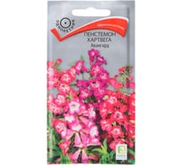 Пенстемон Агрохолдинг ПОИСК Хартвега Авангард 0.05 гр 797333