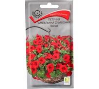 Петуния ампельная Агрохолдинг ПОИСК Симфония Красная 0.01 гр 797337
