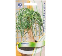 Бокарнея Агрохолдинг ПОИСК 5шт 692354