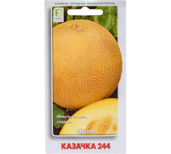 Дыня Агрохолдинг ПОИСК Казачка 244 15шт 663105