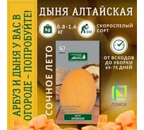 Дыня Агрохолдинг ПОИСК Алтайская 15шт 240893