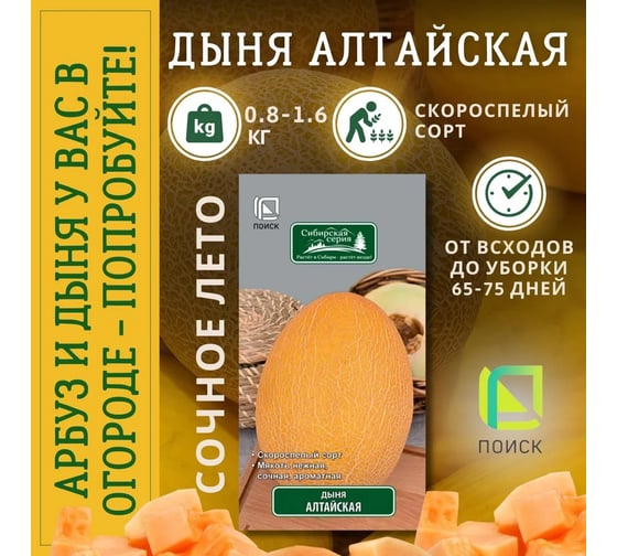 Дыня Агрохолдинг ПОИСК Алтайская 15шт 240893