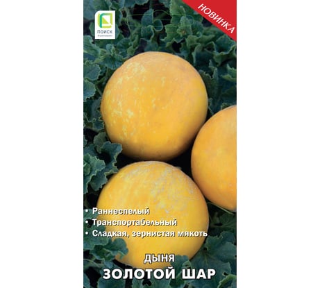 Дыня Агрохолдинг ПОИСК Золотой шар 15шт 738523