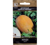 Дыня Агрохолдинг ПОИСК Млада (А) 15шт 678079