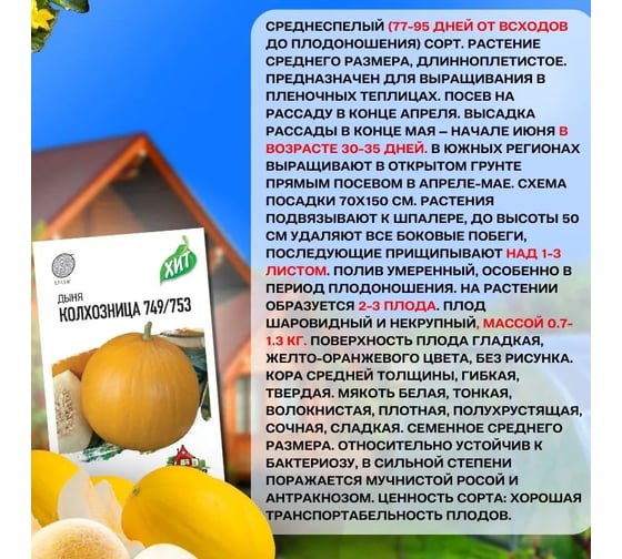 Дыня Колхозница Агрохолдинг ПОИСК 749/753 15шт ЧБ 722983