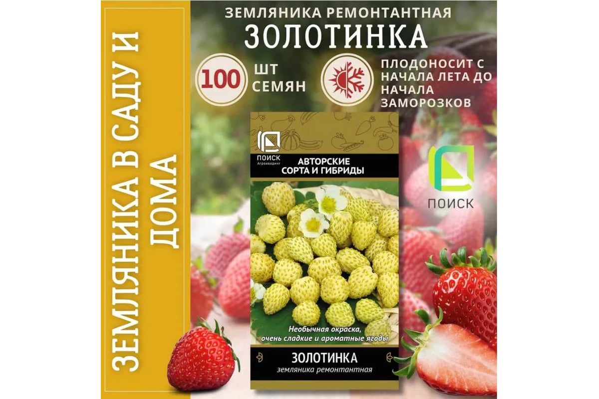 Земляника ремонтантная Агрохолдинг ПОИСК Золотинка (А) 100шт 250697 ...
