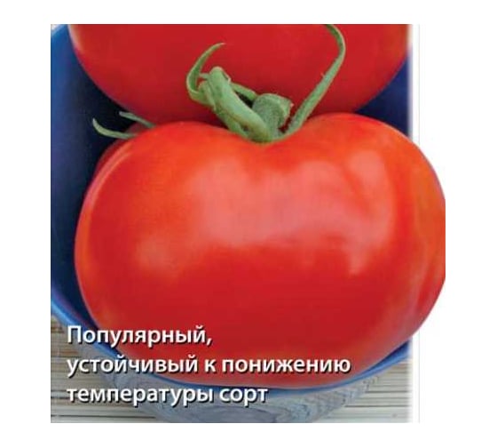 Томат Агрохолдинг ПОИСК Белый налив 241 0.1 гр ЧБ 715646