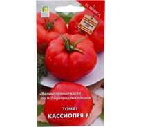 Томат Агрохолдинг ПОИСК Кассиопея F1 (А) 12 шт 725506