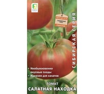 Томат Агрохолдинг ПОИСК Салатная находка (А) 0.1 гр 740983