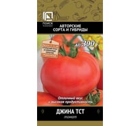 Томат Агрохолдинг ПОИСК Джина ТСТ (А) 0.1 гр ОИ 724088