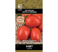 Томат Агрохолдинг ПОИСК Кадет (А) 0,1гр 510396