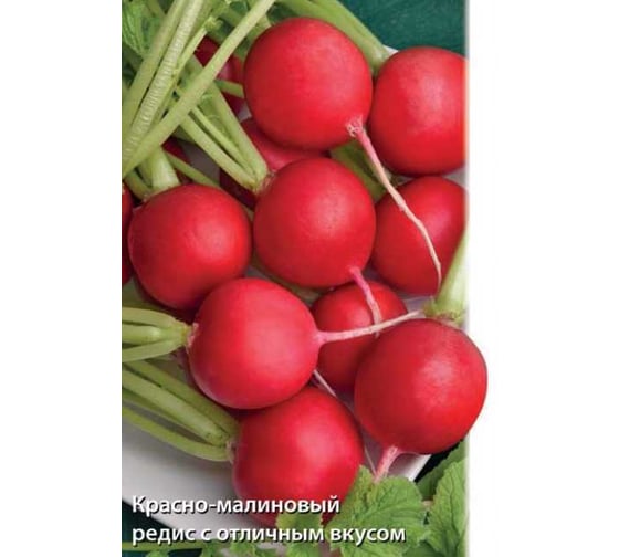 Редис Агрохолдинг ПОИСК Заря 3 гр ЧБ 440848