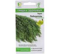 Укроп Агрохолдинг ПОИСК Победитель (А) 2гр 833924