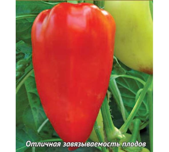 Перец сладкий Агрохолдинг ПОИСК Болгарец 0.25 гр ЧБ 410448