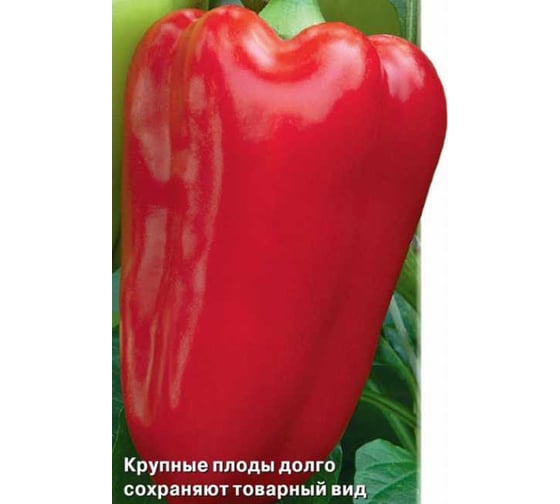 Перец сладкий Агрохолдинг ПОИСК Богатырь 0.25 гр ЧБ 715668