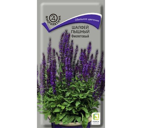 Шалфей пышный Агрохолдинг ПОИСК Фиолетовый 0,1гр 730959
