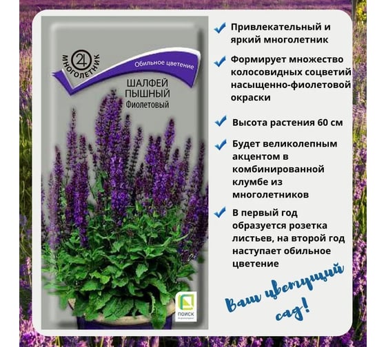 Шалфей пышный Агрохолдинг ПОИСК Фиолетовый 0,1гр 730959