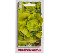 Салат Агрохолдинг ПОИСК Берлинский желтый 1гр 470426