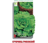 Салат Агрохолдинг ПОИСК Кучерявец Грибовский 1гр 470498