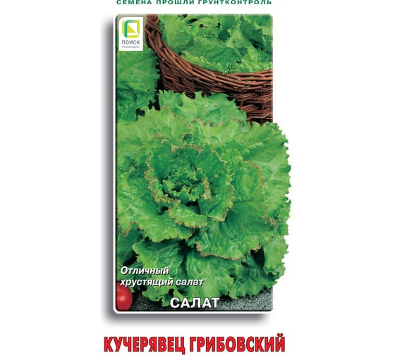 Салат Агрохолдинг ПОИСК Кучерявец Грибовский 1гр 470498 1